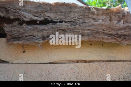 Mineralwolle Dachisolierung. Eine Nahaufnahme der Mineralwollschicht, die Dicke einer Glaswolldämmung, die im Dach verwendet wird. Stockfoto