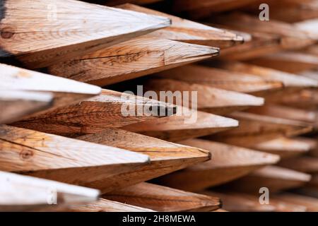 Frisch gehackte Holzpfähle (selektiver Fokus) Stockfoto