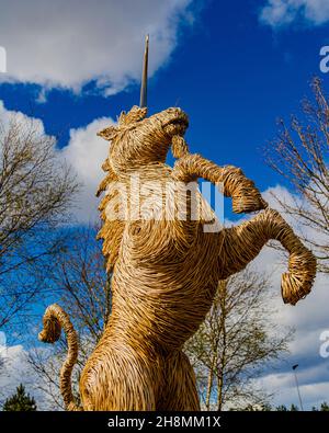 The Wicker Made Unicorn Statue, das National Animal of Scotland - befindet sich im Kelpies - Helix Park, Falkirk, Schottland, Großbritannien Stockfoto