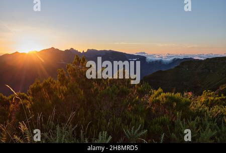 Bica da Cana, Sonnenaufgang-Mission. Madeira Stockfoto