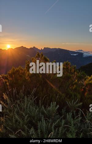 Bica da Cana, Sonnenaufgang-Mission. Madeira Stockfoto