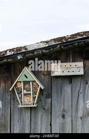 Insekt Hotel auf eine Holzwand, Deutschland Stockfoto