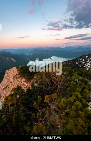 Blick vom Gipfel des Herzogstandes, Blick auf Walchensee bei Sonnenuntergang, Gratwanderung Herzogstand Heimgarten, Oberbayern, Bayern, Deutschland Stockfoto