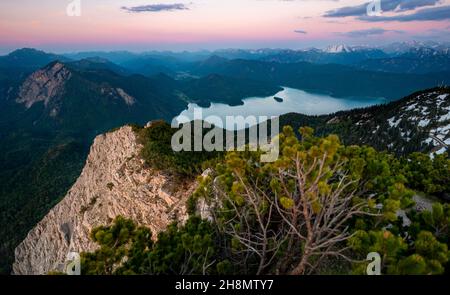 Blick vom Gipfel des Herzogstandes, Blick auf Walchensee bei Sonnenuntergang, Gratwanderung Herzogstand Heimgarten, Oberbayern, Bayern, Deutschland Stockfoto