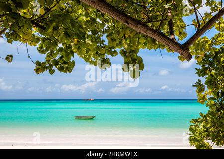 Traumstrand, Cote d'Or, Praslin, Seychellen, Praslin, Seychellen Stockfoto