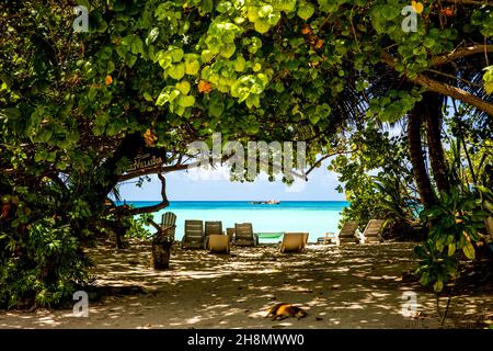 Traumstrand, Cote d'Or, Praslin, Seychellen, Praslin, Seychellen Stockfoto