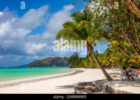 Traumstrand mit Palmen, Cote d'Or, Praslin, Seychellen, Praslin, Seychellen Stockfoto