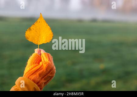 Frau mit gelbem Blatt. Symbol der wechselnden Jahreszeit. Herbst nebligen Morgen in der Natur Stockfoto