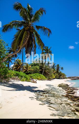 Anse Forbans Strand mit Granitfelsen, Mahe, Seychellen, Mahe, Seychellen Stockfoto