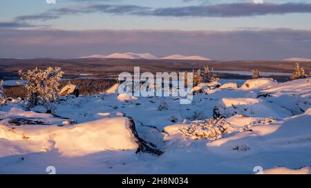 Saerkitunturi, Baumgrenze, am Horizont Pallastunturi, Muonio, Lappland, Finnland Stockfoto