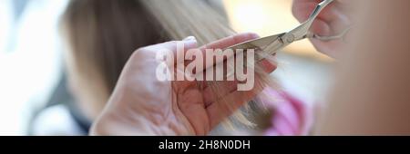 Master Coiffeur schneidet Spliss der Haare mit Schere Nahaufnahme Stockfoto