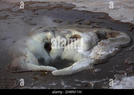 Eyvindarhver Thermalquelle, Hochtemperaturgebiet, Hveravellir Geothermie Gebiet, Kjoelur, Hochland, Island Stockfoto