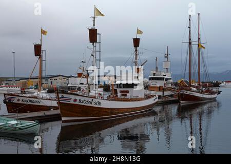 Alte Fischerboote, jetzt Walbeobachtungsboote, im Hafen von Husavik, Reflexion im Wasser, Husavik, Norourland Eystra, Nordost-Island, Island Stockfoto