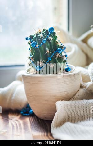 Ein Kaktus, der wie ein Weihnachtsbaum aussieht. Heimpflanze mit  Weihnachtsdekor mit Girlanden verziert. Gemtliches Neujahr Hintergrund.  Unschrfe-Unschrfe Stockfotografie - Alamy