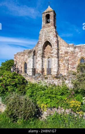 Farbenfrohe Frühlingsblumen am Straßenrand neben der St. Mary’s Parish Church im Dorf Lindisfarne auf der Holy Island an der Northumberland Coast of England, Großbritannien Stockfoto