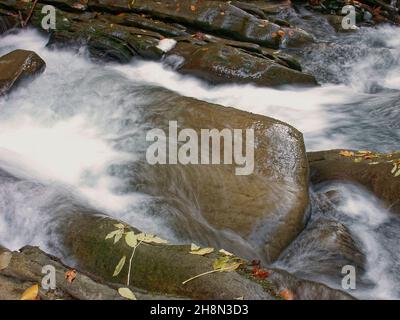 Wasserfall Szepit, Hylaty, Bieszczady-Gebirge, Bieszczady, Zatwarnica, Die wildeste Region Polens, einzigartige Waldlandschaften, Polen Stockfoto