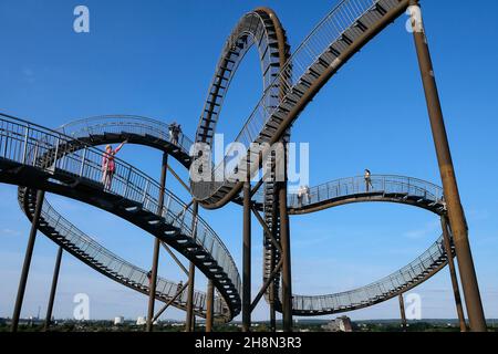 Große Skulptur Tiger und Schildkröte - Zauberberg, Duisburg, Deutschland Stockfoto