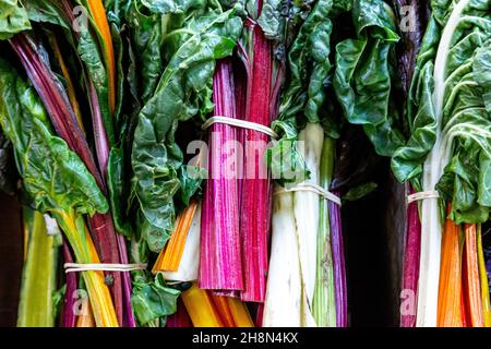 Ein Vollformatsfoto des lebendigen Regenbogens Chard Stockfoto