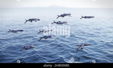 Fliegende Fische, Gruppe von Exocoetidae, die aus dem Wasser springen Stockfoto