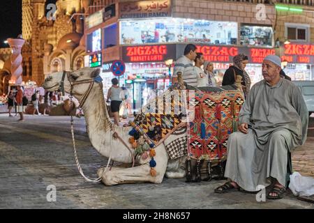Ägyptischer Mann mittleren Alters in traditioneller Kleidung und niedliches Kamel, das am Abend auf dem Stadtplatz sitzt. Stockfoto