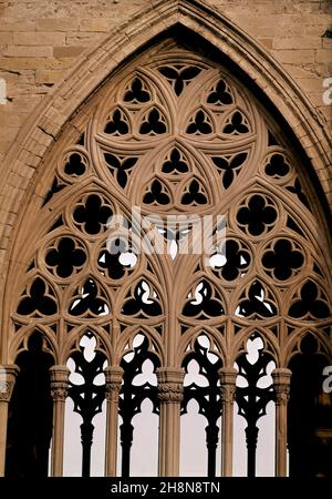 ALLE DE UN ARCO OJIVAL CON CRESTERIA DEL CLAUSTRO DE LA CATEDRAL VIEJA DE LERIDA - SIGLO XIV - GOTICO CATALAN. AUTOR: CASCALLS JAUME / SLIVELLA GUILLERMO. Lage: CATEDRAL VIEJA. Lerida. SPANIEN. Stockfoto