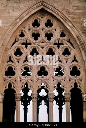 ALLE DE UN ARCO OJIVAL CON CRESTERIA DEL CLAUSTRO DE LA CATEDRAL VIEJA DE LERIDA - SIGLO XIV - GOTICO CATALAN. AUTOR: CASCALLS JAUME / SLIVELLA GUILLERMO. Lage: CATEDRAL VIEJA. Lerida. SPANIEN. Stockfoto