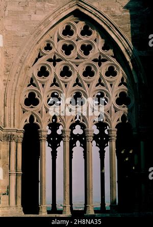 ALLE DE UN ARCO OJIVAL CON CRESTERIA DEL CLAUSTRO DE LA CATEDRAL VIEJA DE LERIDA - SIGLO XIV - GOTICO CATALAN. AUTOR: CASCALLS JAUME / SLIVELLA GUILLERMO. Lage: CATEDRAL VIEJA. Lerida. SPANIEN. Stockfoto