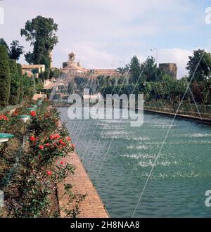 FUENTE EN LOS JARDINES DEL ALCAZAR DE CORDOBA - FOTO AÑOS 60. Lage: ALCAZAR. CORDOBA. SPANIEN. Stockfoto