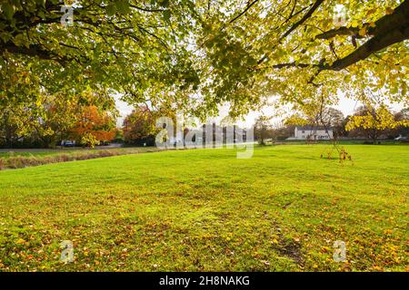 Traditionelles englisches Dorfgrün im Herbstsonnenlicht - Barrington, Cambridge, Großbritannien. Stockfoto