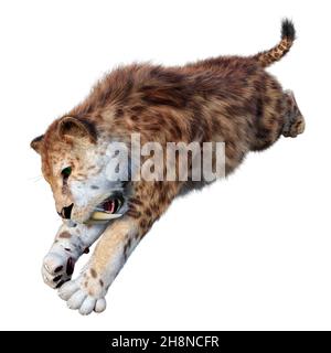 3D-Rendering ein Säbelzahn-Tiger isoliert auf weißem Hintergrund Stockfoto