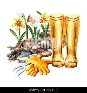 Blumenbeet mit Gartenfrühlingsblumen, Gummistiefeln und Gartenwerkzeugen. Frühjahrsarbeit im Gartenkonzept. Handgezeichnete Aquarelldarstellung isoliert Stockfoto
