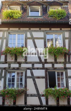 Traditionelle Fassaden historischer Häuser in der Altstadt von Colmar, im Nordosten Frankreichs Stockfoto