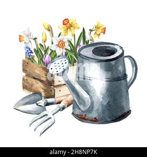 Holzkiste mit Sämlingen von Zwiebelblumen mit Gießkanne und Gartengeräten. Frühjahrsarbeit im Garten. Handgezeichnete Aquarell-Illustration isolieren Stockfoto