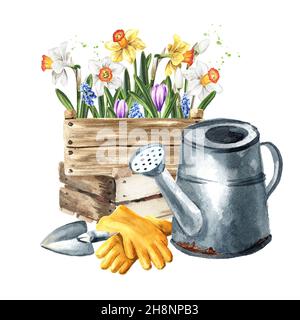 Holzkiste mit Sämlingen von bauchigen Blumen mit Gartenwerkzeugen. Frühlingsarbeit im Garten, handgezeichnete Aquarellillustration isoliert auf weißem Backgro Stockfoto