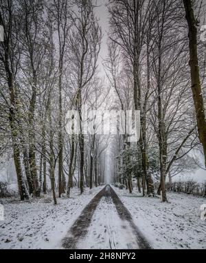 Ländliche Straße, Clitheroe, Ribble Valley, Lancashire, Großbritannien. Stockfoto