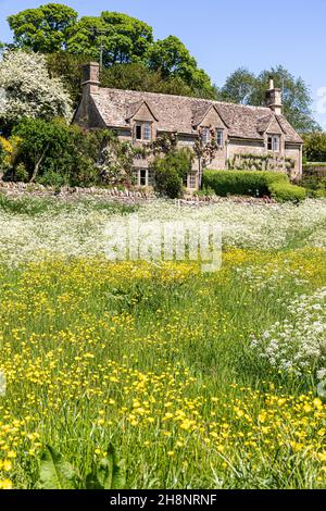 Butterblumen blühen auf dem Grün vor einem traditionellen Steinhaus im Cotswold-Dorf Hampnet, Gloucestershire, Großbritannien Stockfoto