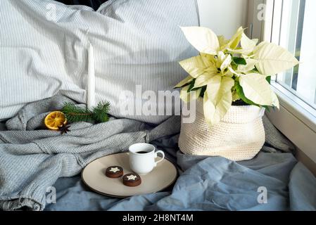 Gemütliches Winterfrühstück Stillleben Szene in der Nähe des Fensters. Tasse Kaffee mit Keksen. Kissen, Wollpullover, Kerze, Tannenzweig und weiße Weihnachtssterne. Stockfoto