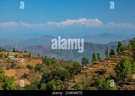 Terrassierte Hänge in der Nähe von Bandipur, Nepal, mit der schneebedeckten Annapurna-Bergkette des Himalaya. Stockfoto