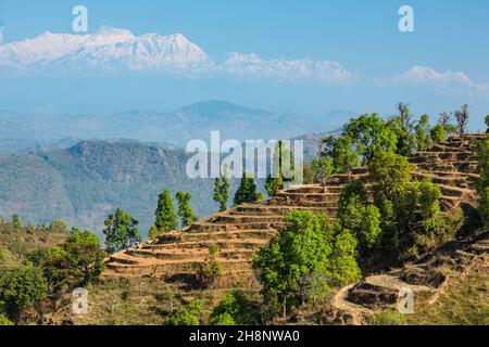 Terrassierte Hänge in der Nähe von Bandipur, Nepal, mit der schneebedeckten Annapurna-Bergkette des Himalaya. Stockfoto