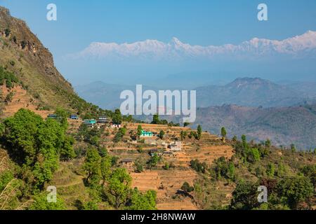 Terrassierte Hänge in der Nähe von Bandipur, Nepal, mit der schneebedeckten Annapurna-Bergkette des Himalaya. Stockfoto