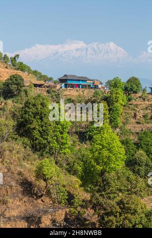 Terrassierte Hänge in der Nähe von Bandipur, Nepal, mit der schneebedeckten Annapurna-Bergkette des Himalaya. Stockfoto