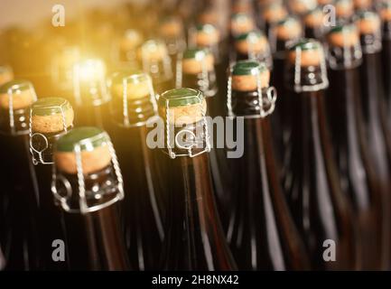 Weinflaschen Regal Stockfoto