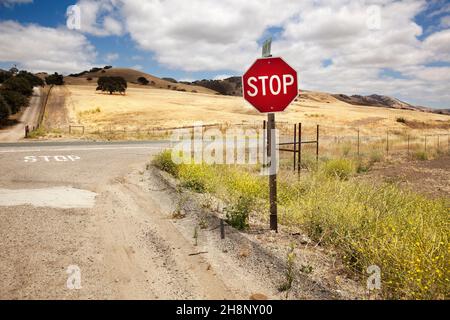 Stop-Schild in einer Straße von Kalifornien Stockfoto