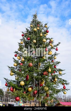 Großer geschmückter grüner Baum auf dem Weihnachtsmarkt im Drumul Taberei Park (Parcul Drumul Taberei), der an einem sonnigen Herbsttag als Moghioros bekannt ist Stockfoto