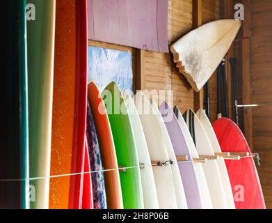 Boards zum Surfen und Stand Up Paddle Boarding können im Surfclub gemietet werden Stockfoto