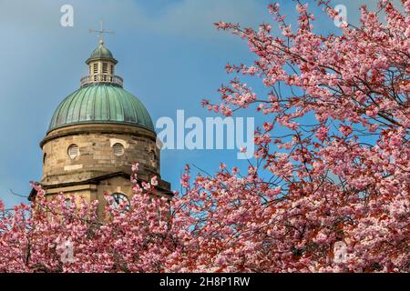 DR GRAY'S HOSPITAL ELGIN SCOTLAND UHRENKUPPEL, UMGEBEN VON KIRSCHBLÜTEN PRUNUS IM FRÜHLING Stockfoto