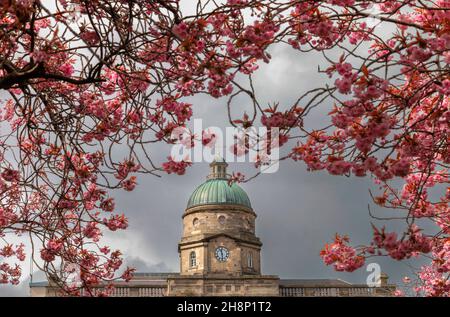 DR GRAY'S HOSPITAL ELGIN SCOTLAND UHRTURM, UMGEBEN VON KIRSCHBLÜTEN IM FRÜHLING Stockfoto