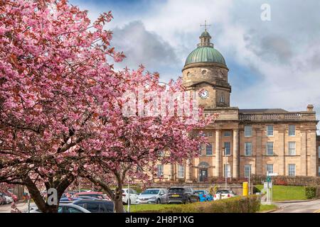 DR GRAY'S HOSPITAL ELGIN SCOTLAND DAS GEBÄUDE UND DAS AUTO PARK UMGEBEN VON KIRSCHBLÜTEN PRUNUS IM FRÜHLING Stockfoto