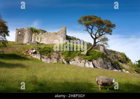 Penrice Castle Ruins, Gower Peninsula, Swansea, Glamorgan, South Wales Stockfoto