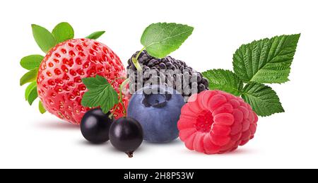 Schwarze Johannisbeere, Himbeere, Erdbeere, Heidelbeere, Maulbeere mit Blatt isoliert auf weißem Hintergrund. Beschneidungspfad. Volle Schärfentiefe. Stockfoto